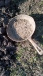 IMG_20170322_151512.jpg