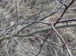 20170321_102857.jpg