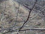 20170321_102852.jpg