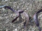20170321_102816.jpg