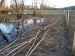 20170330_180858.jpg