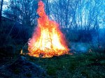 IMG_20170401_153958.JPG