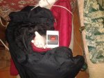 20170404_133655.jpg