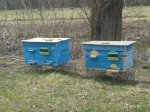 20170406_131754.jpg