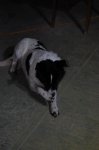 DSC_6534.JPG