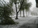 525290.jpg