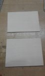 20170419_170407.jpg