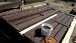 20170404_125553.jpg