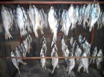 IMG_5762-04-05-17-13-37.jpeg