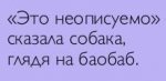 ScreenShot297.jpg