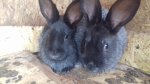 20170505_154621.jpg