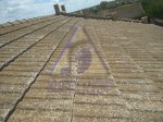 IMG_20170515_122429.jpg