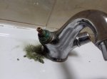 20170520_145424.jpg