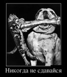 не сдавайся.jpg