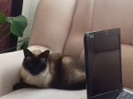 20170531_064834.jpg