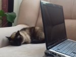 20170531_065936.jpg