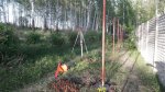 20170506_184224_resized.jpg