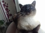 20170604_071419.jpg
