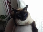 20170604_071335.jpg