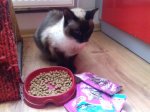 20170604_071059.jpg