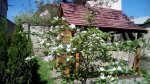 IMG_20170517_151134.jpg