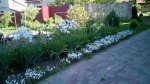 IMG_20170529_091618.jpg