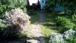 IMG_20170603_182615.jpg
