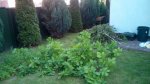 IMG_20170603_182650.jpg