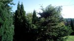 IMG_20170603_182717.jpg