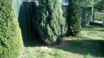 IMG_20170603_182738.jpg
