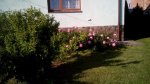 IMG_20170603_182756.jpg