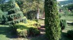 IMG_20170603_182803.jpg