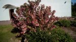 IMG_20170603_182928.jpg