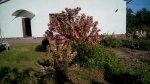IMG_20170603_182938.jpg