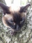 20170604_192902.jpg