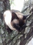 20170604_192309.jpg