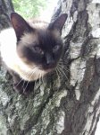 20170604_192304.jpg