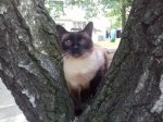 20170604_191326.jpg