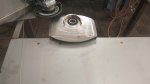 IMG_20170606_105538.jpg