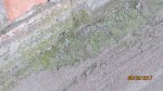 IMG_0568.jpg