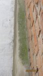 IMG_0574.jpg