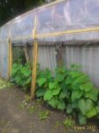 P_20170609_125048_1_p.jpg