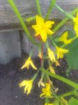 P_20170611_102652_1_p.jpg