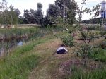 20140622_161128.jpg