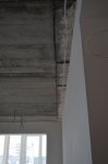 DSC_0501.JPG