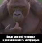 giphy.gif