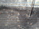 20170615_211310.jpg