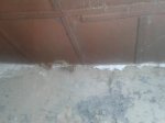 20170618_172447.jpg