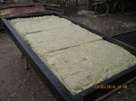 IMG_1080.JPG