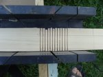 DSC08146.JPG